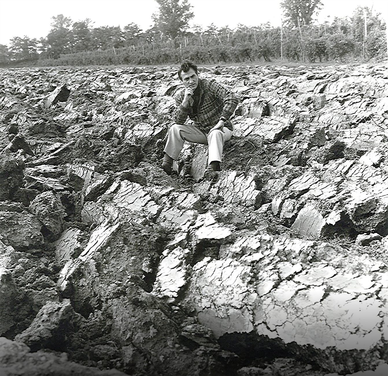 Carlo Zauli 1926 - 2026. Tra Faenza e Milano